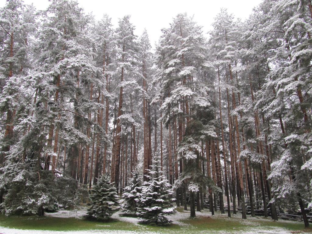 Apartments Markoni Zlatibor Zewnętrze zdjęcie