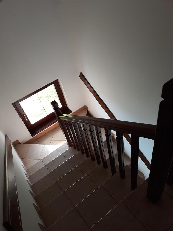 Apartments Markoni Zlatibor Zewnętrze zdjęcie